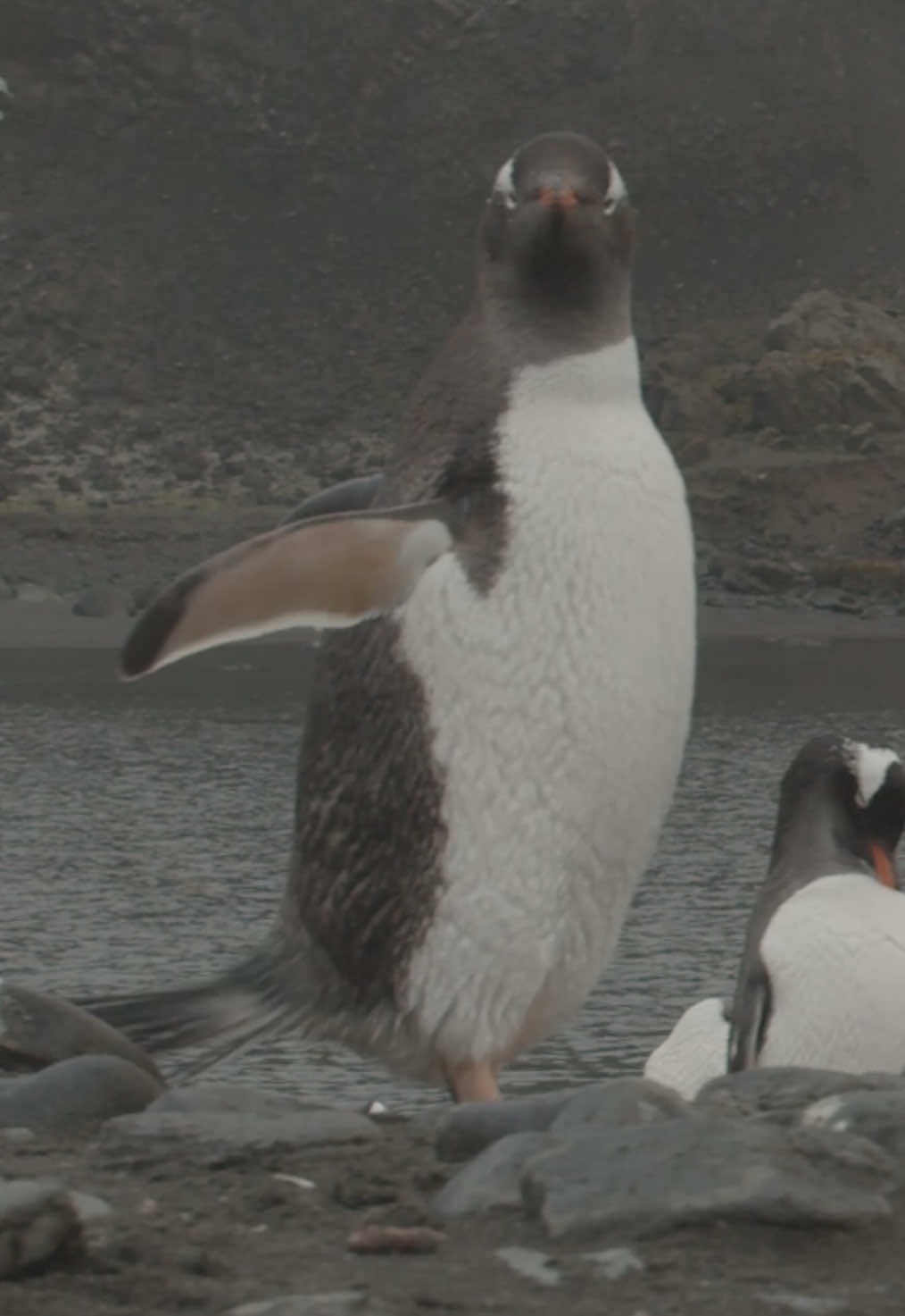 @Kai Meyer | Wildlife Filmmaker