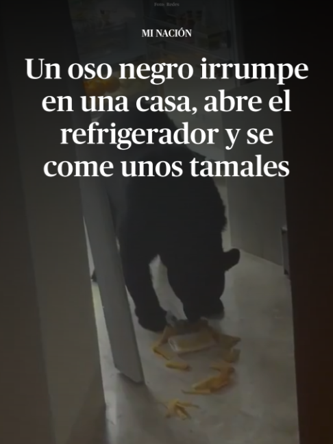 @DiariodeM&eacute;xico