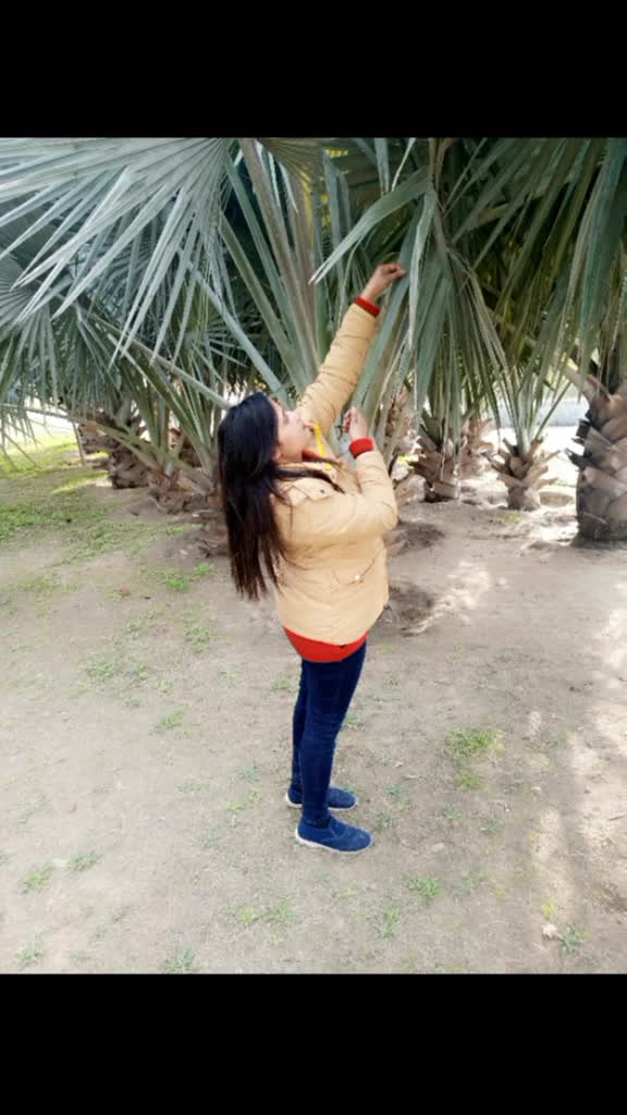 @harpreet love sehaj