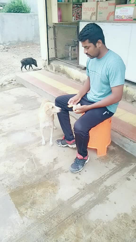 @Sachin Kakade