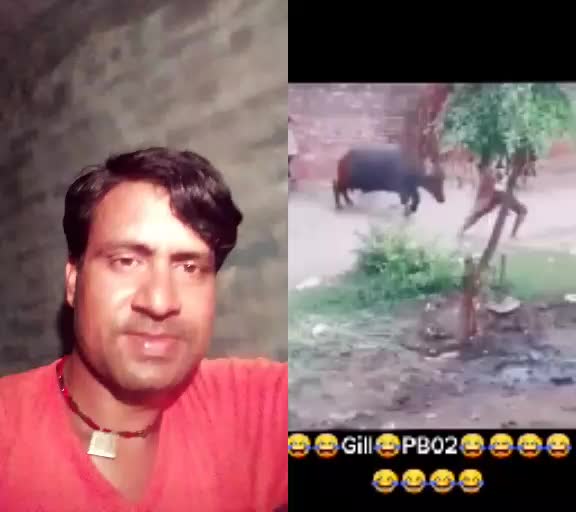 @luckynindhu user6239