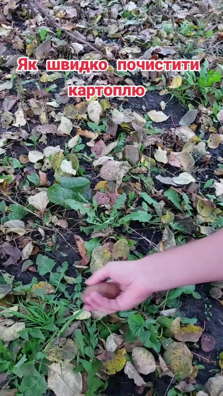 @BaraholkaUKRAINE