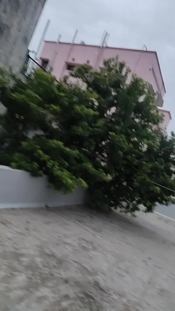 @Sai Kiran Jai