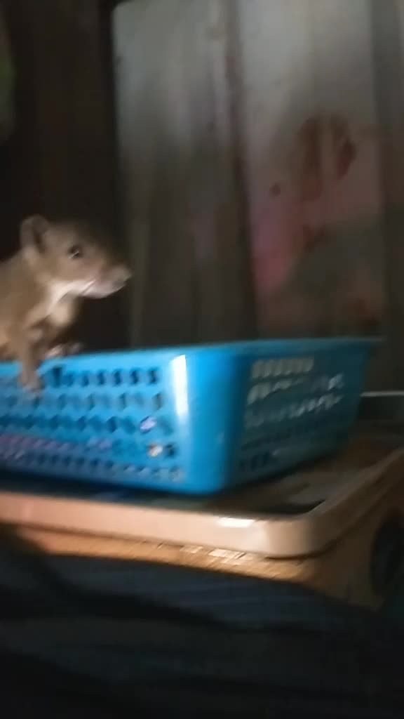 @๐งธ๐ป๐โ
๐ทโ
๐งธ๐๐ป๐