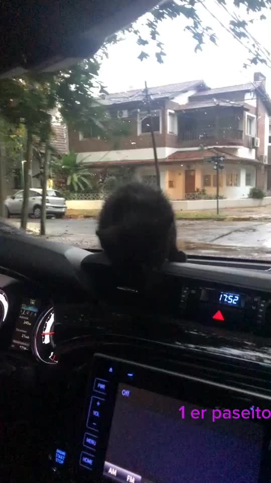 @Carolina Noel Comasc