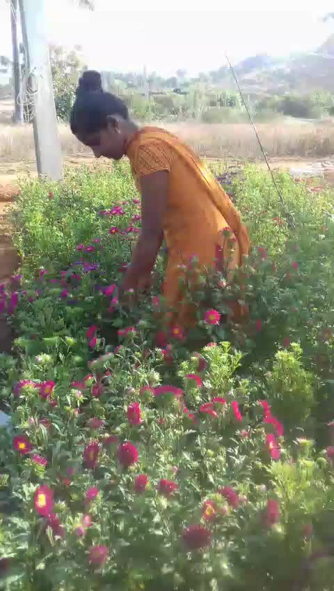 @Lakshmi Agnivamsha