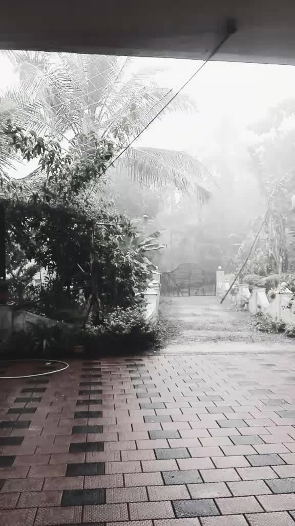 @tik tok banned 😔