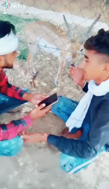 @Ankit_bishnoi007