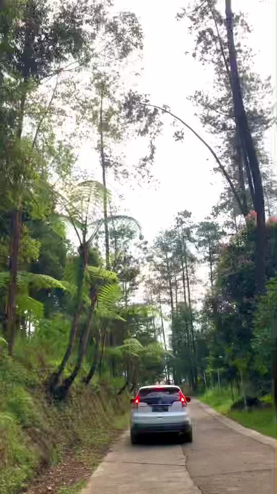 @sibontottt