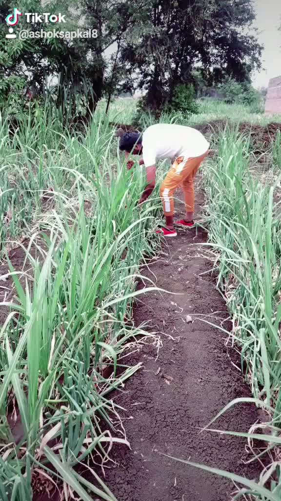 @👑Ashok Sapkal👑