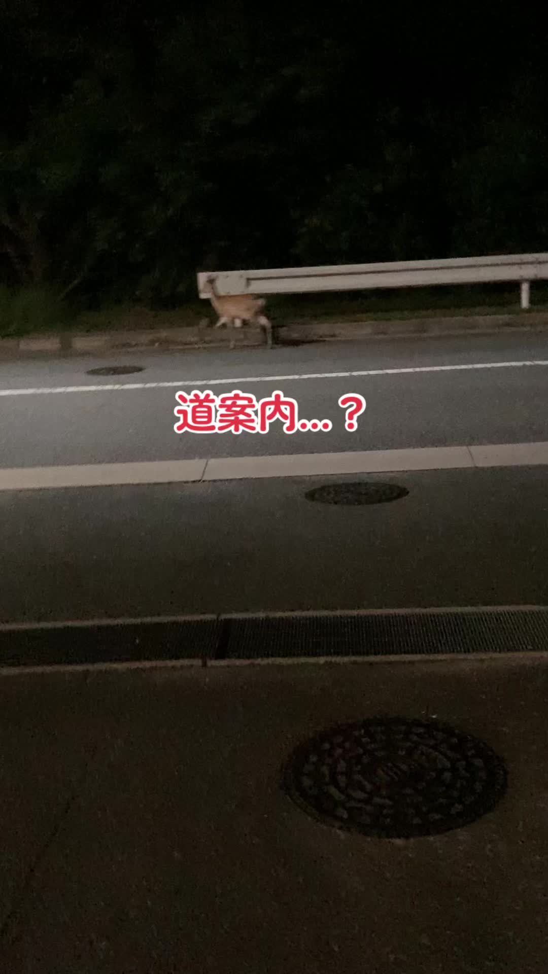 @王子こうじっ☆