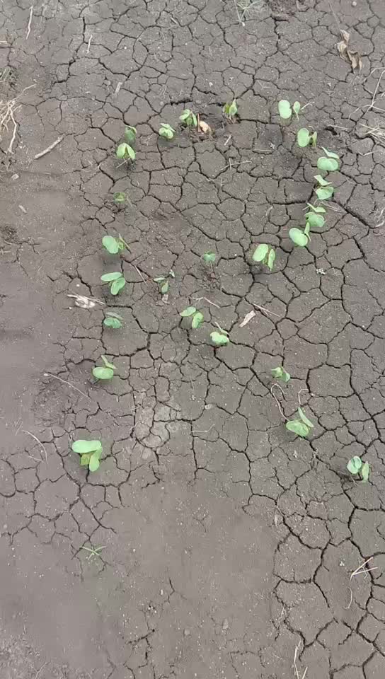 @Rushi Wadghane Patil