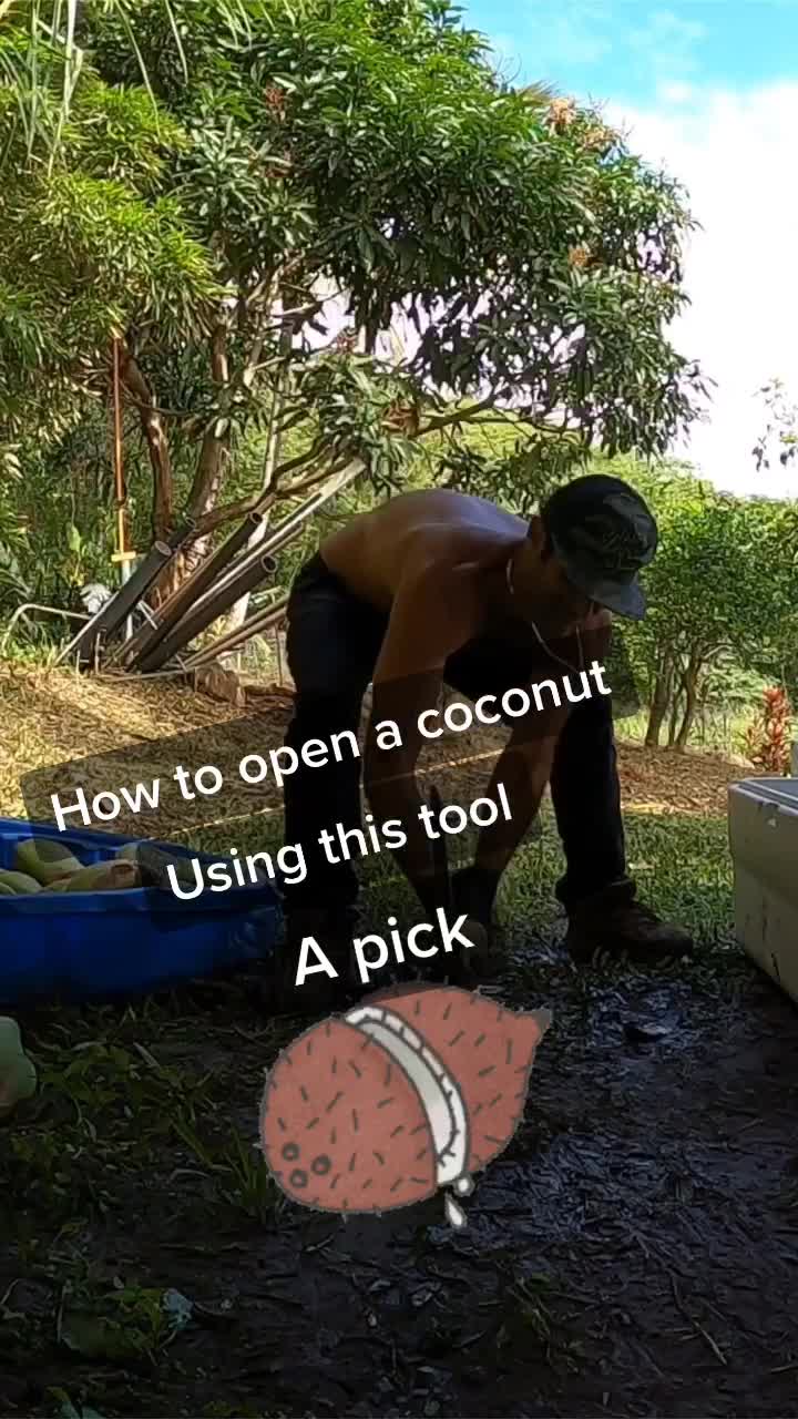 @northshoretreasurehu