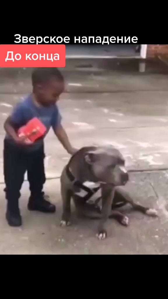 @Угарные видео 🤣