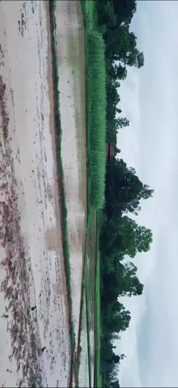 @Cherry D Naik