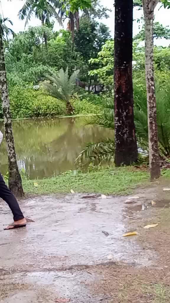 @Mohidul islam