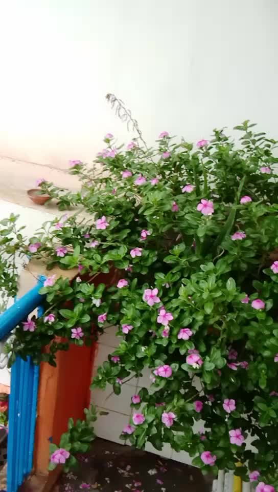 @Payal1411