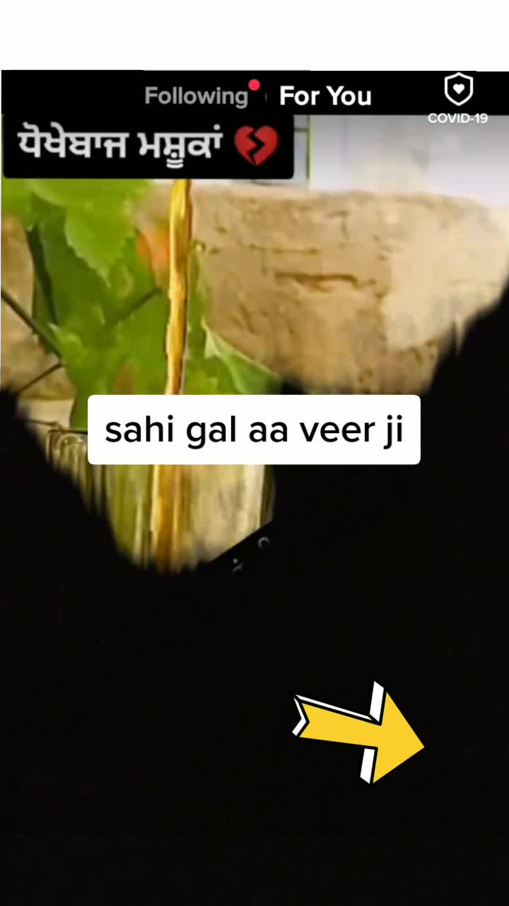 @sajan bajwa
