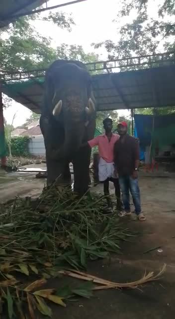 @Vishnu Dhath