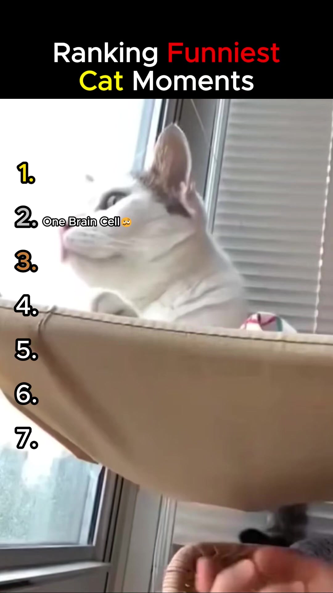 @ハドソン   アレクサンダー🧡