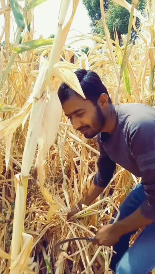@Pankaj Thoke