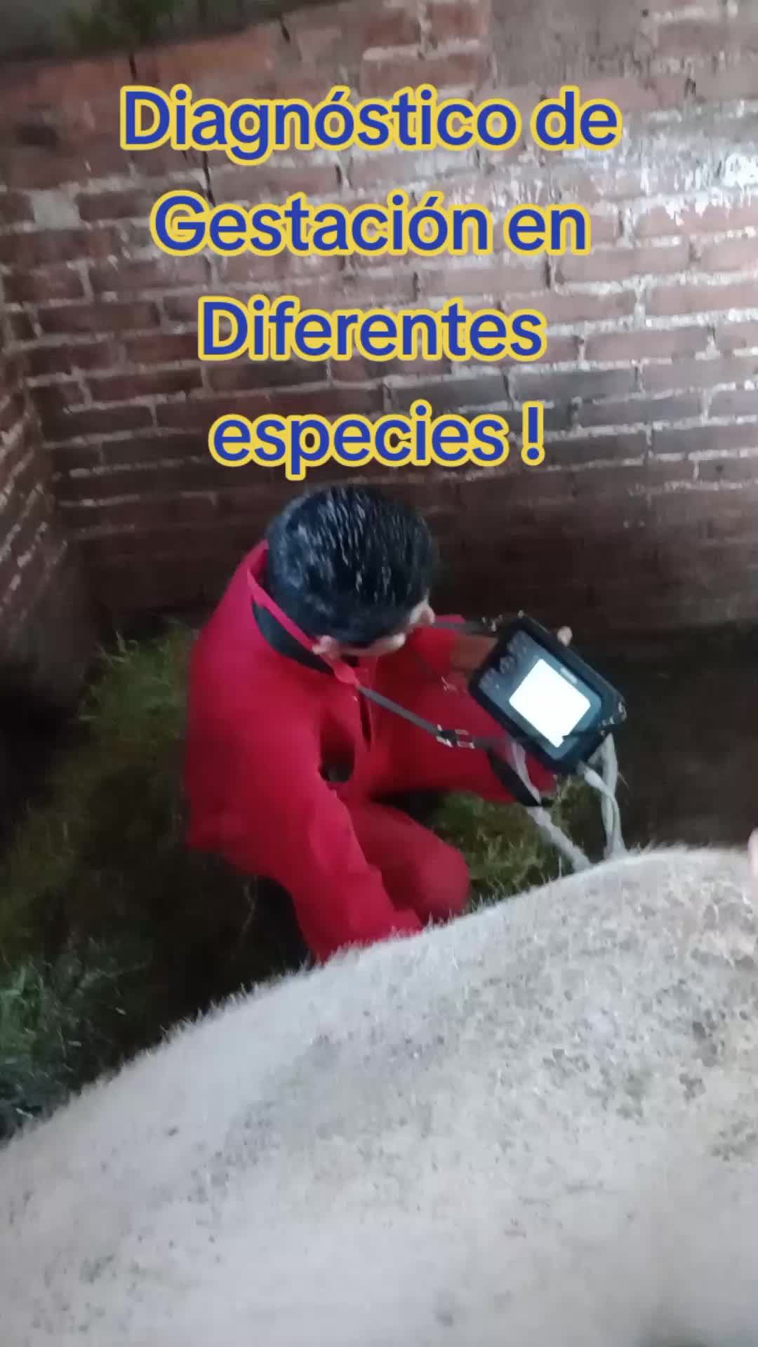 @ASAGESP