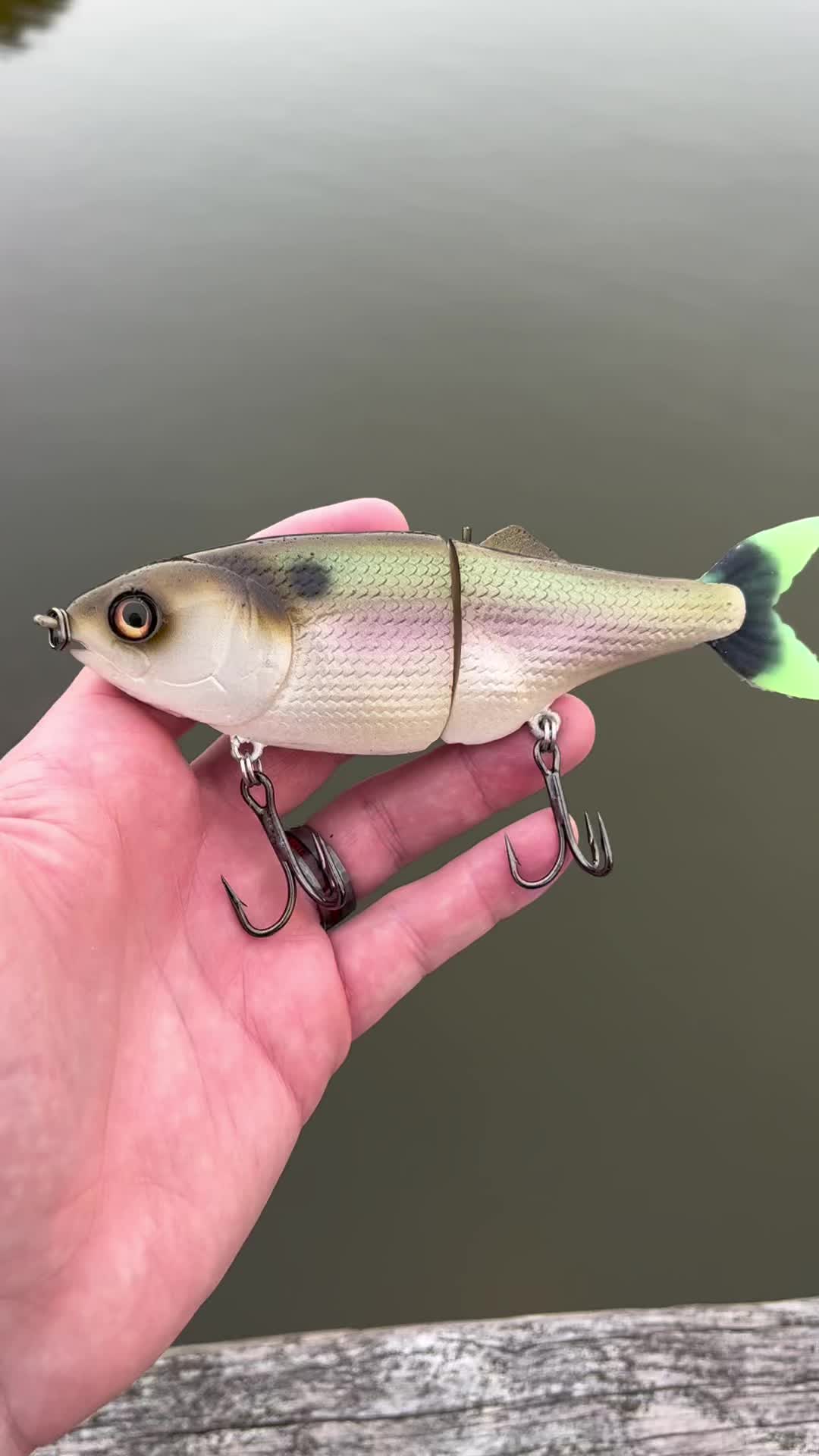 @grovesbaitco