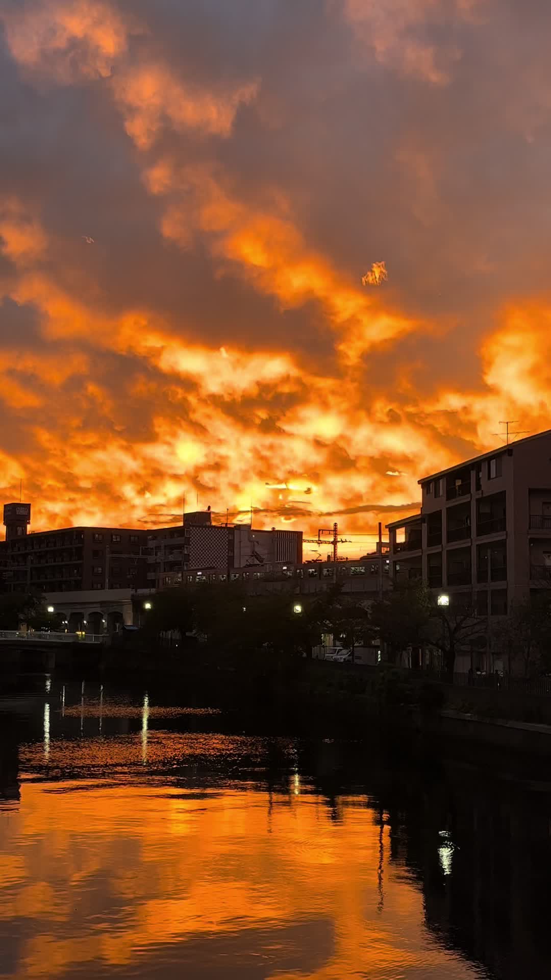 @bltlv