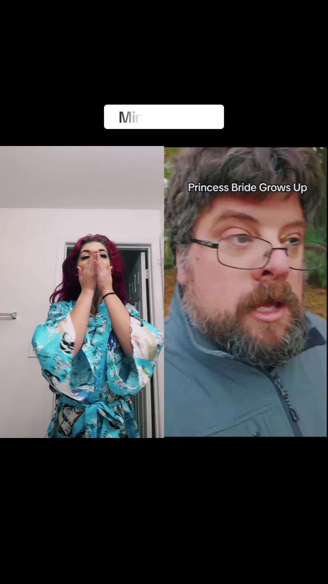 @din0kitten