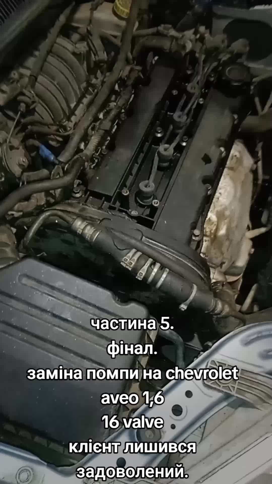 @motor's