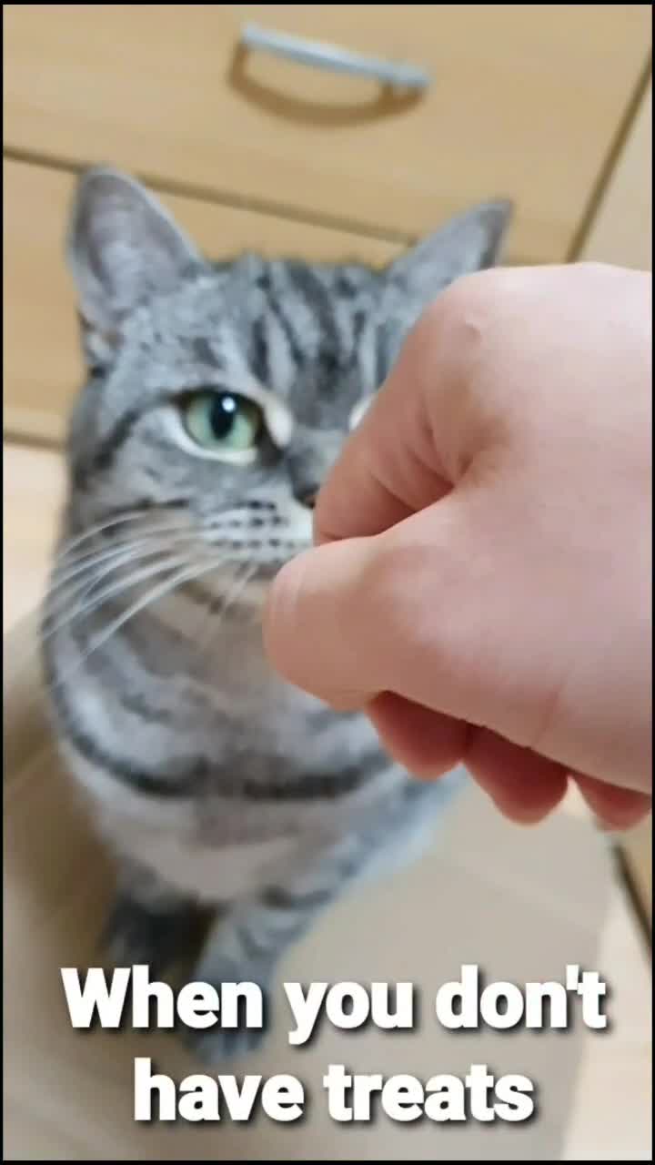 @the coconutkitty
