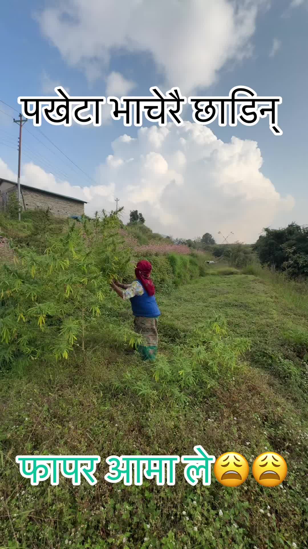 @सुमन सेन्चुरी चोसेकाका🇳🇵🇰🇷