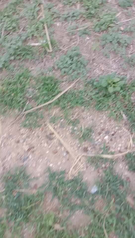 @@Venki_kanakagiri