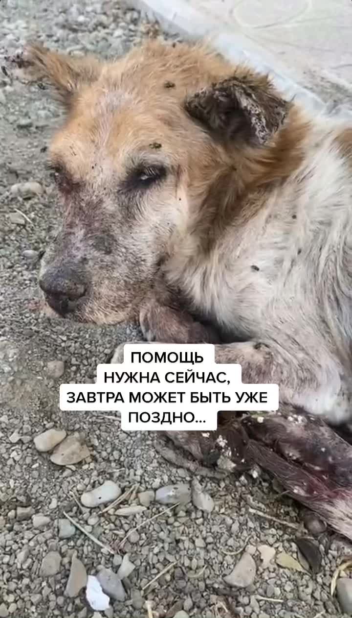 @Елена Белова