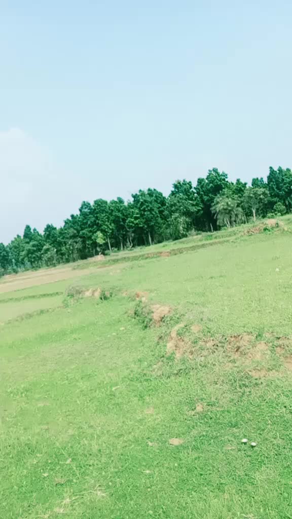 @singer Raja Jani