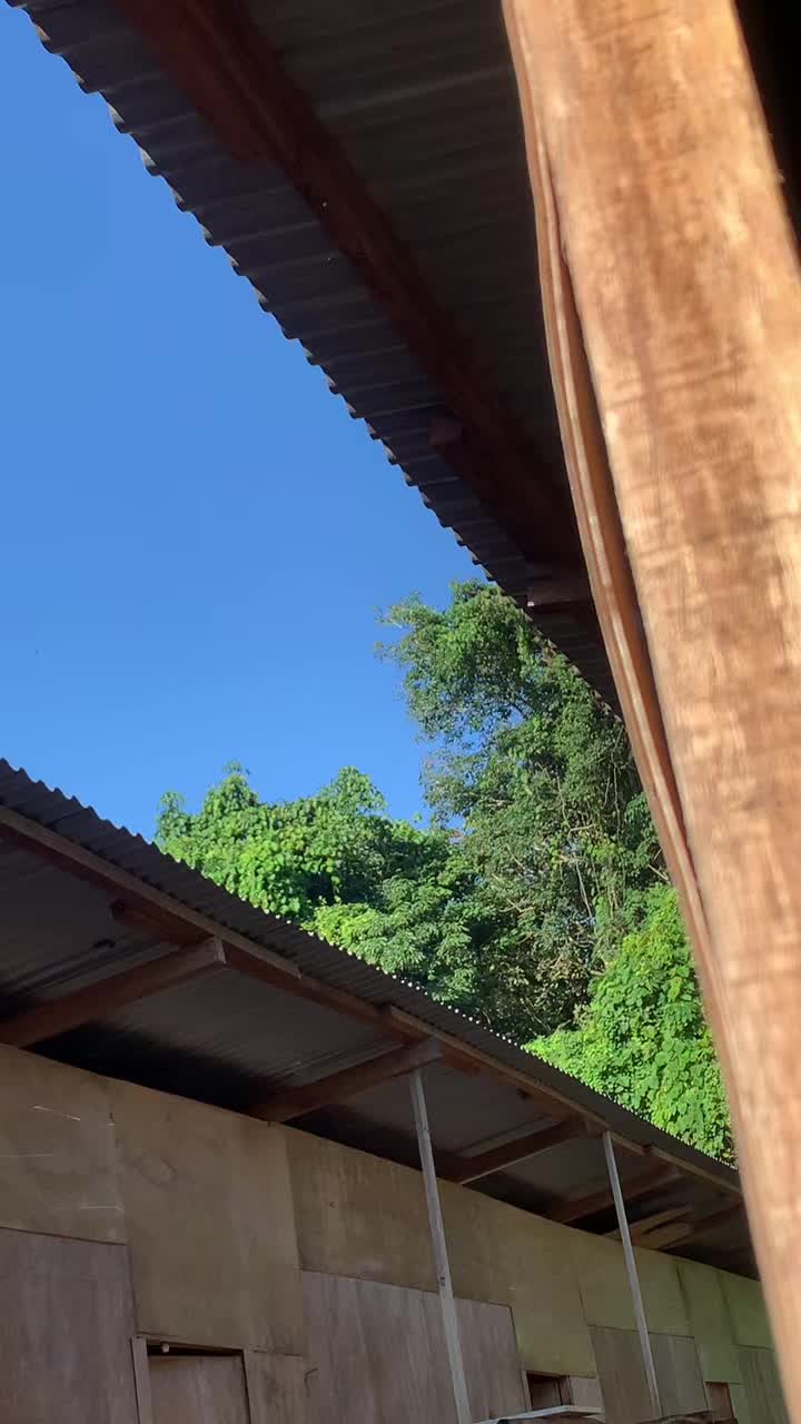 @rin.0