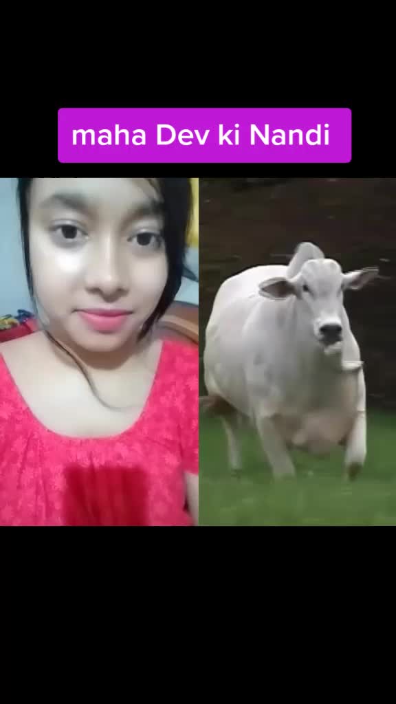 @cutepiejaya