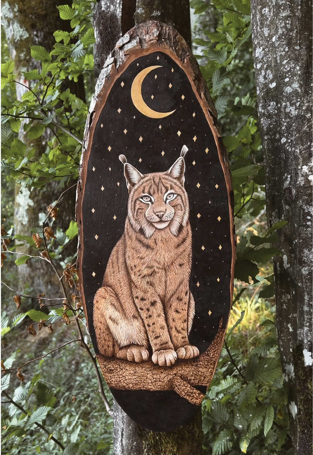@SoWoodBurning