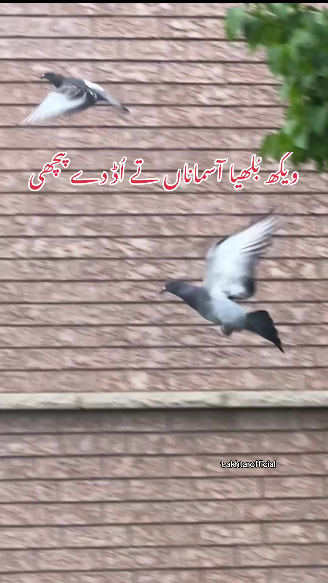 @T.Akhtar Official