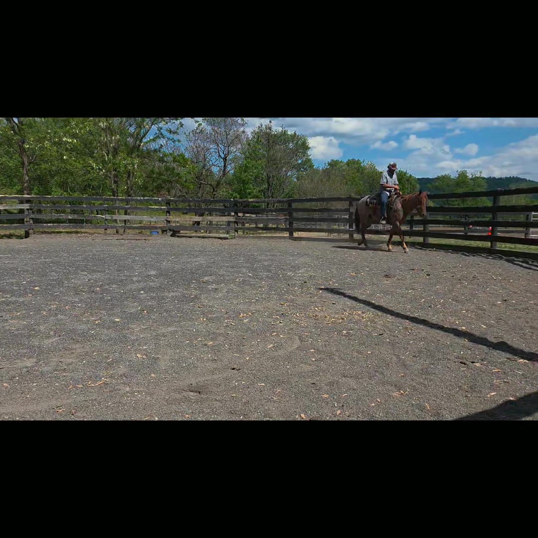 @CircleHEquineSalesLLC