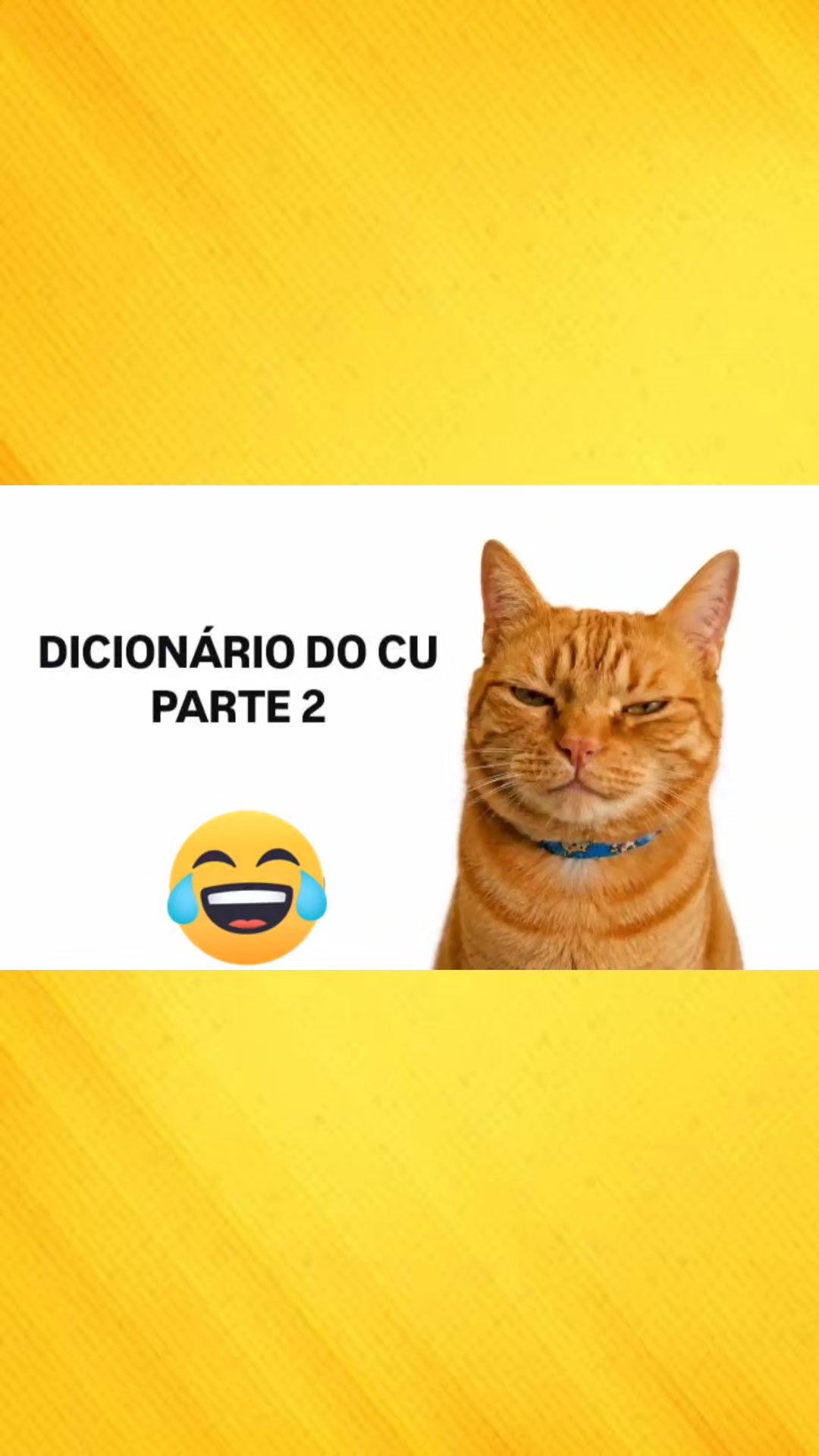 @Z&eacute; Zuero