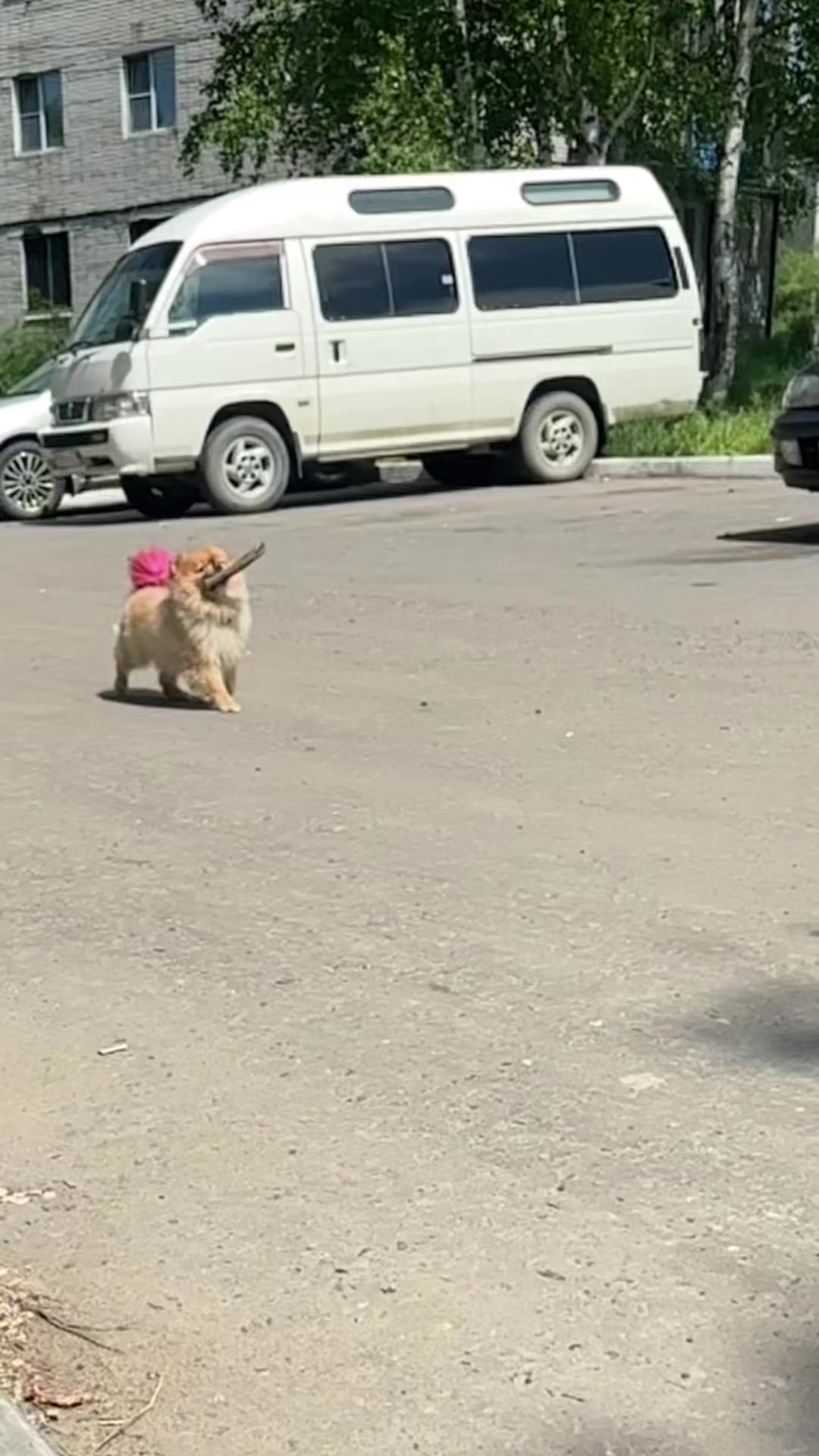 @Анастейша