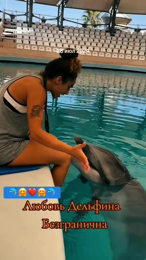 @🌊🐬ДЕЛЬФИН🐬🌊