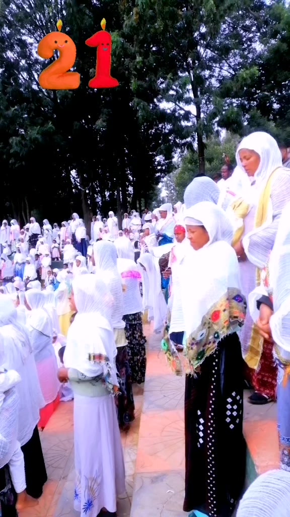 @አዲስዋ ልቤ ልብ ውልቅ ሀበሻና ሹፎን