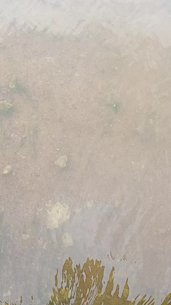 @Ila Nagaraju