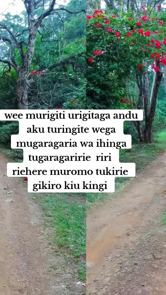 @Winny M Winnie