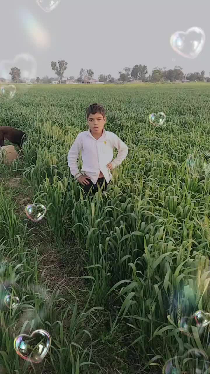 @rihan Malik