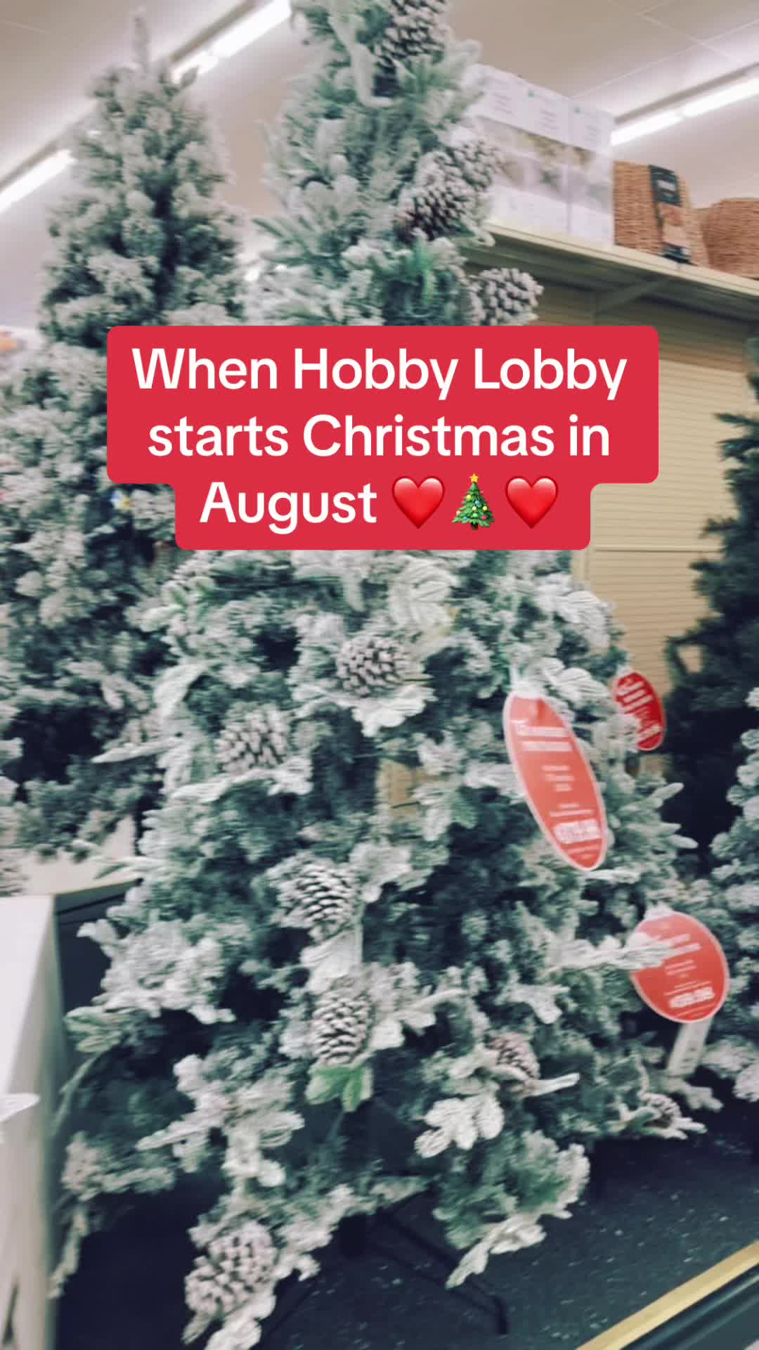@christmas.tree65