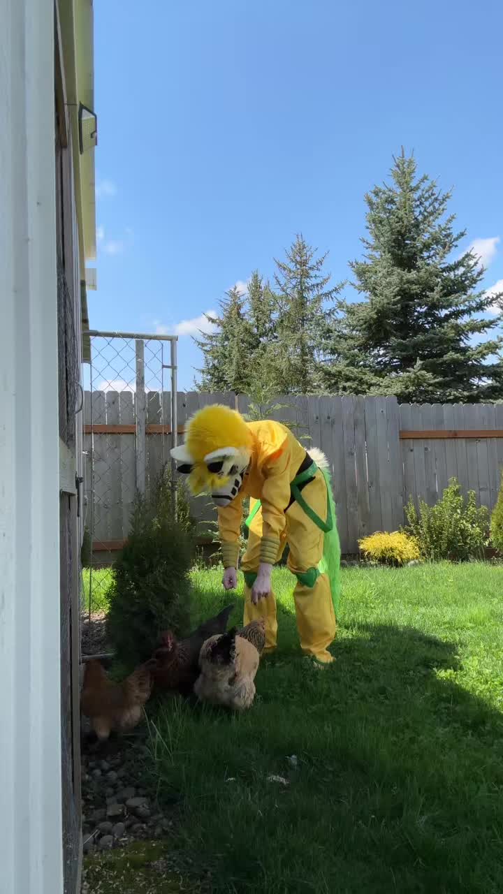 @DIO