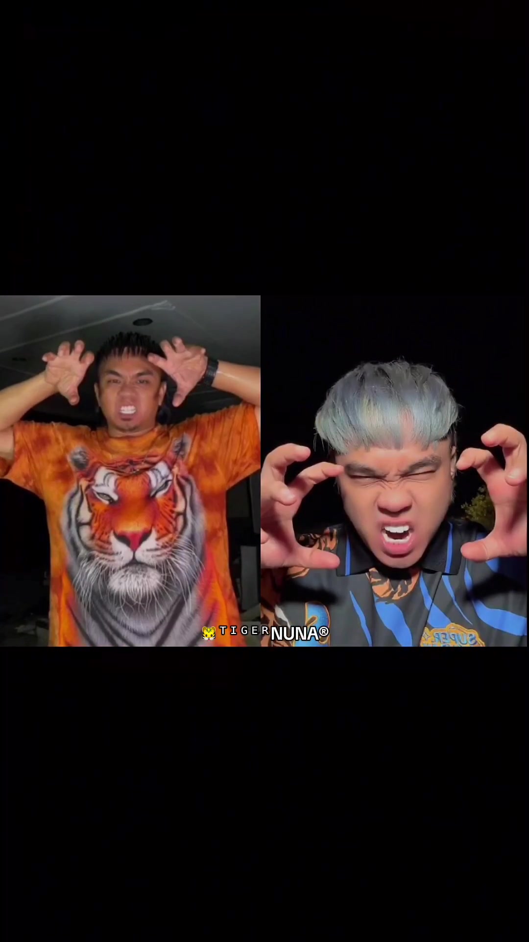 @🐯ᵀᴵᴳᴱᴿNUNA&reg;
